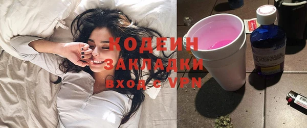 прущие грибы Михайловск