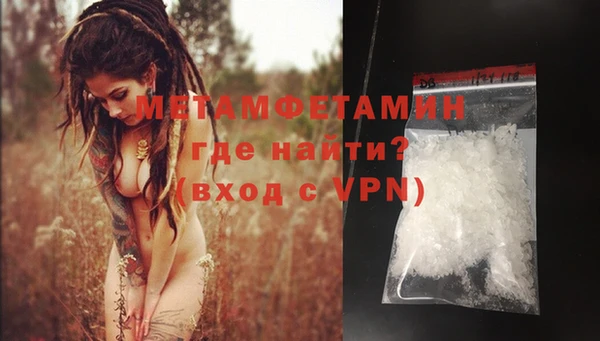 прущие грибы Михайловск